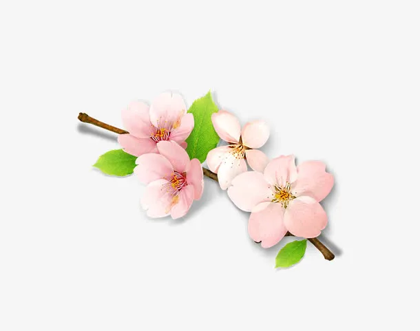 桃花装饰免抠