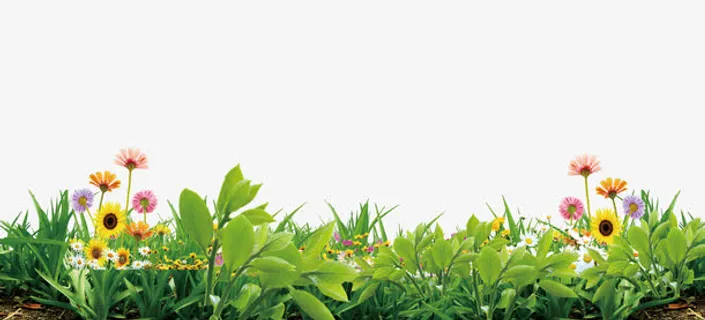 各种各样的春天的绿色植被免抠 各种各样的春天的绿色植被免抠