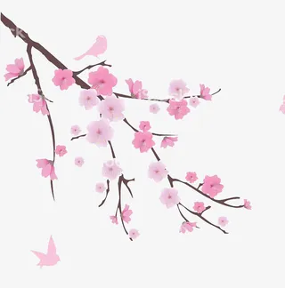 粉色的花朵免抠