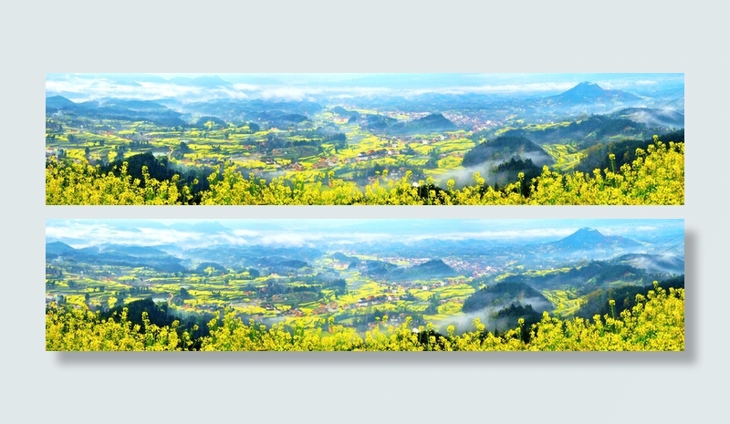 有才花背景素材摄影背景高清