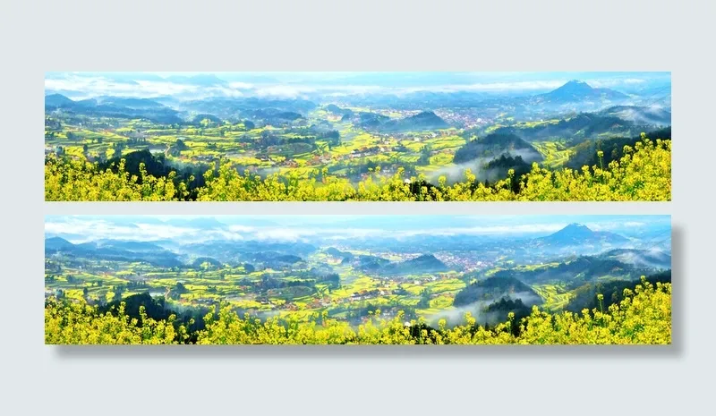有才花背景素材摄影背景高清