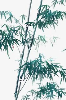 手绘植物图免抠