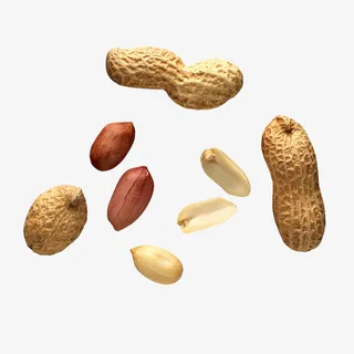 漂浮花生果仁免抠