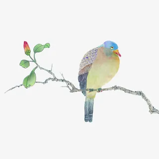 现代简约绿色树枝免抠