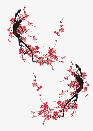 装饰植物梅花免抠