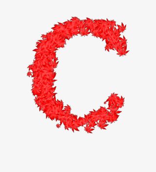 枫叶字母C免抠