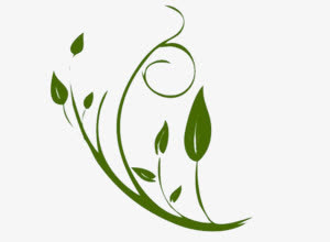 绿色植物免抠