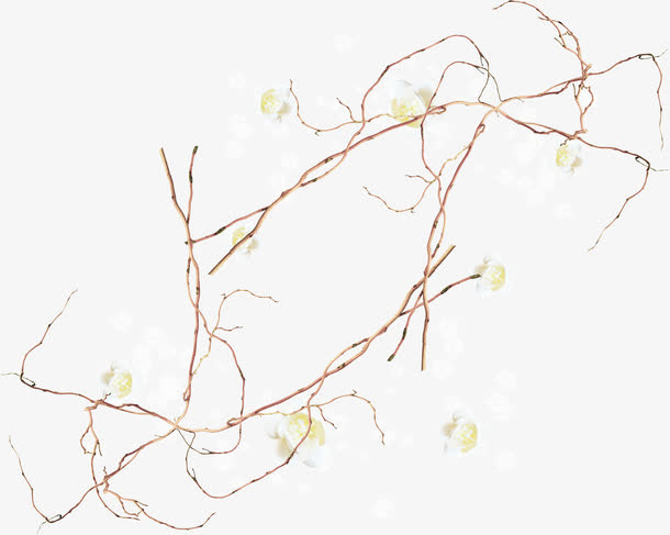 树枝树叶免抠