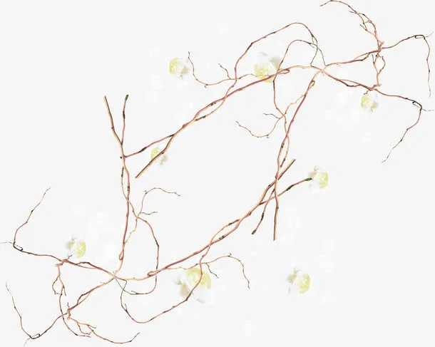 树枝树叶免抠