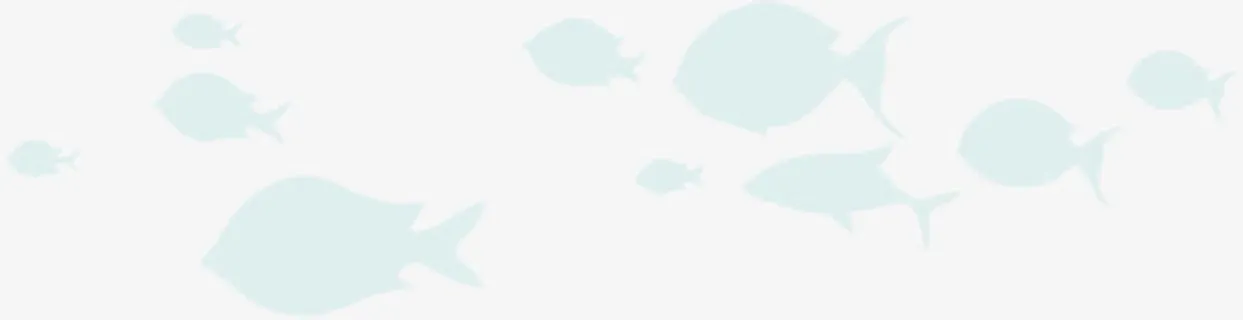 浅蓝色的鱼群免抠