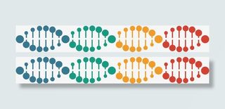 螺旋形基因数据免抠