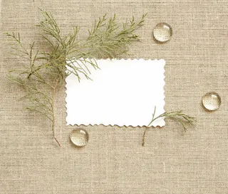 树枝与水珠麻布背景