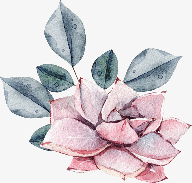 手绘卡通装饰花瓣花草装饰海报设免抠