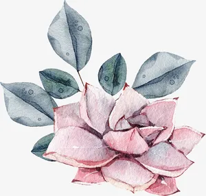 手绘卡通装饰花瓣花草装饰海报设免抠