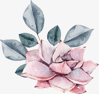 手绘卡通装饰花瓣花草装饰海报设免抠