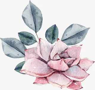 手绘卡通装饰花瓣花草装饰海报设免抠