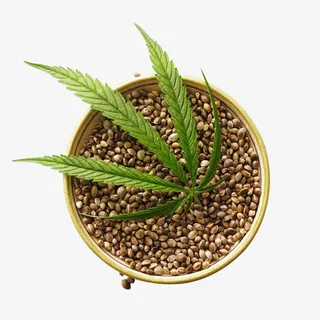 麻叶稻子图片素材免抠