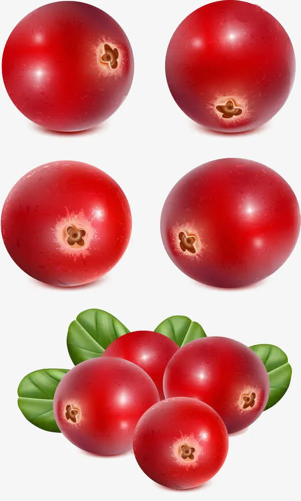 蔓越莓免抠
