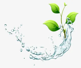 卡通水波绿叶免扣素材免抠