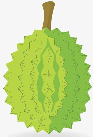 手绘风格绿色水果免抠