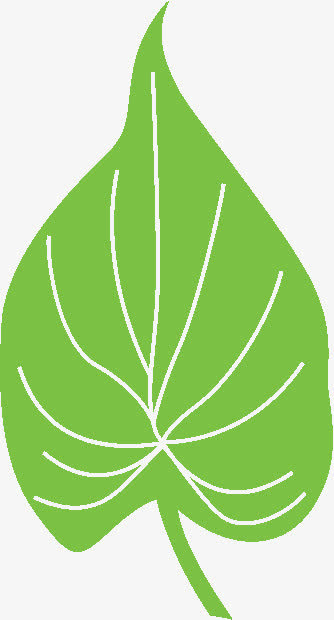 漂浮的叶子免抠