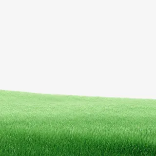 绿色清新草地边框纹理免抠