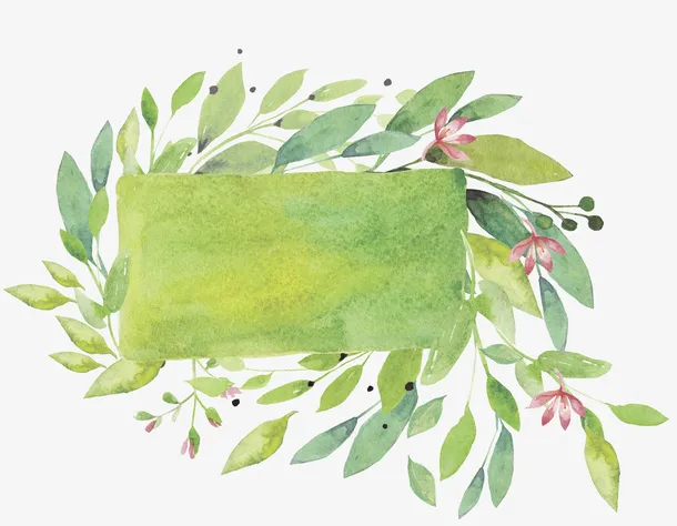 绿色树叶边框免抠