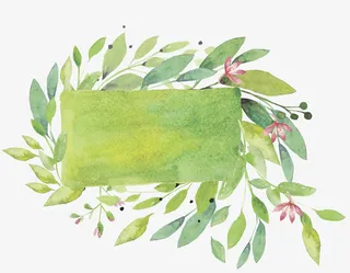 绿色树叶边框免抠