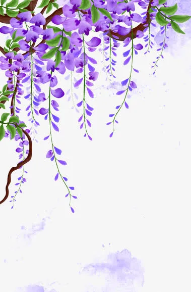 紫藤花藤蔓免抠