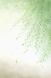 绿色清新柳树枝广告背景高清