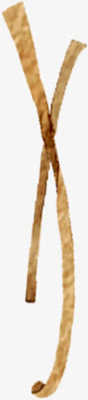 黄色插画艺术树枝免抠