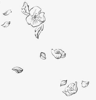 飘浮花瓣免抠