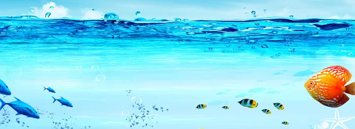 蓝色夏季海底世界海报banner高清