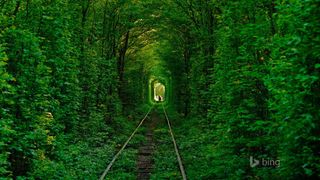 绿色藤蔓通道火车道海报背景