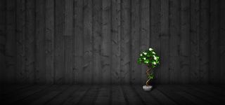 黑色立体木纹墙面地板地面绿植高清