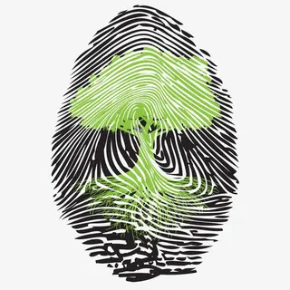 树木矢量图免抠