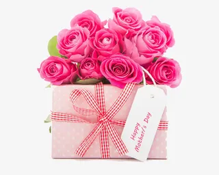 粉色的鲜花装饰免抠