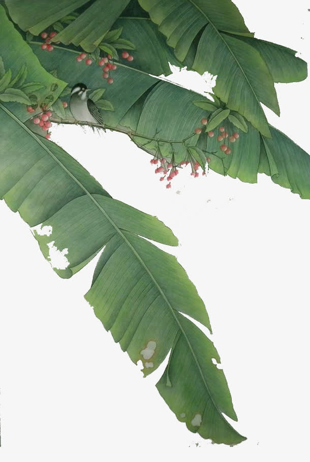 植物免抠