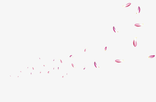 花瓣漂浮免抠