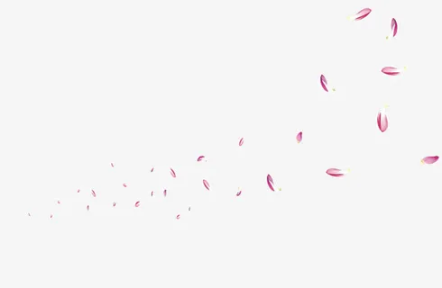 花瓣漂浮免抠