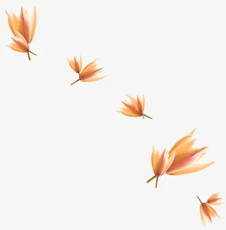 落花落叶漂浮物免抠