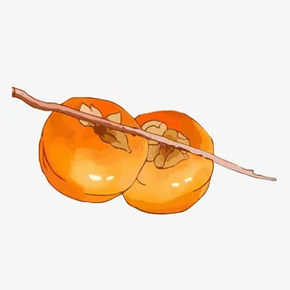 手绘卡通红柿子免抠