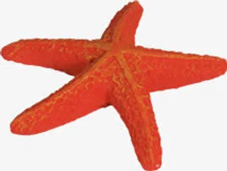 夏日活动海报红色海星效果免抠