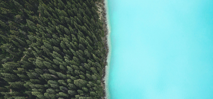 海边森林背景图高清