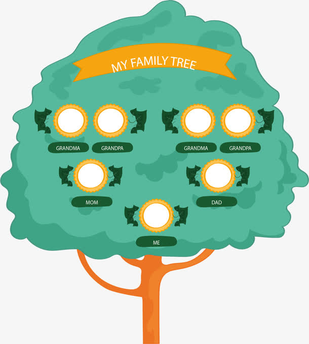 翠绿花边家庭树免抠