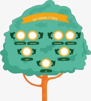 翠绿花边家庭树免抠