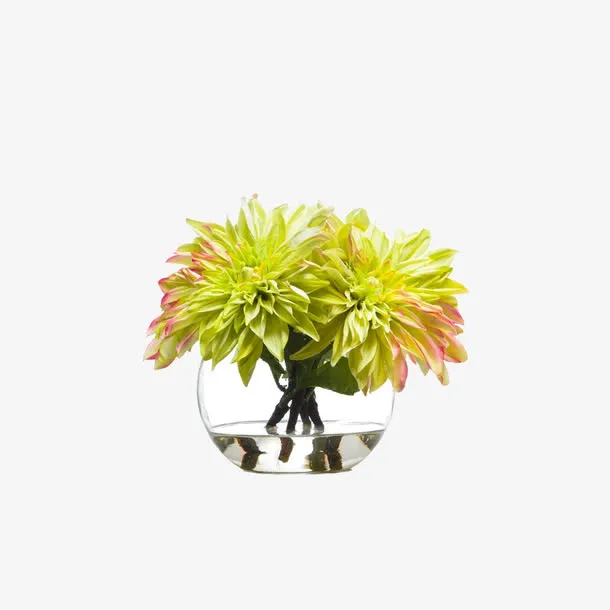 欧美流行插花 绿植物 鲜花软装免抠