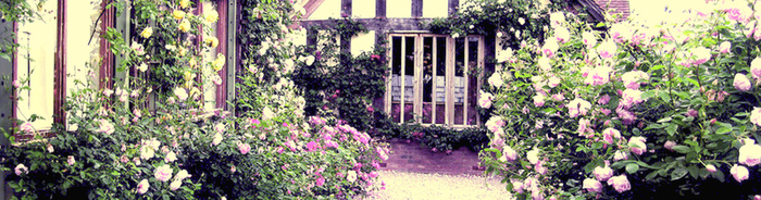 复古花卉背景高清