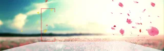 简约花瓣背景banner高清