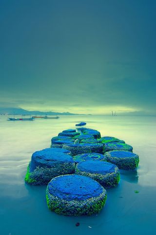 唯美巴厘岛自然风景免抠